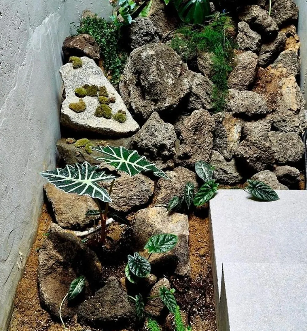 스테이 535 인천 0*,